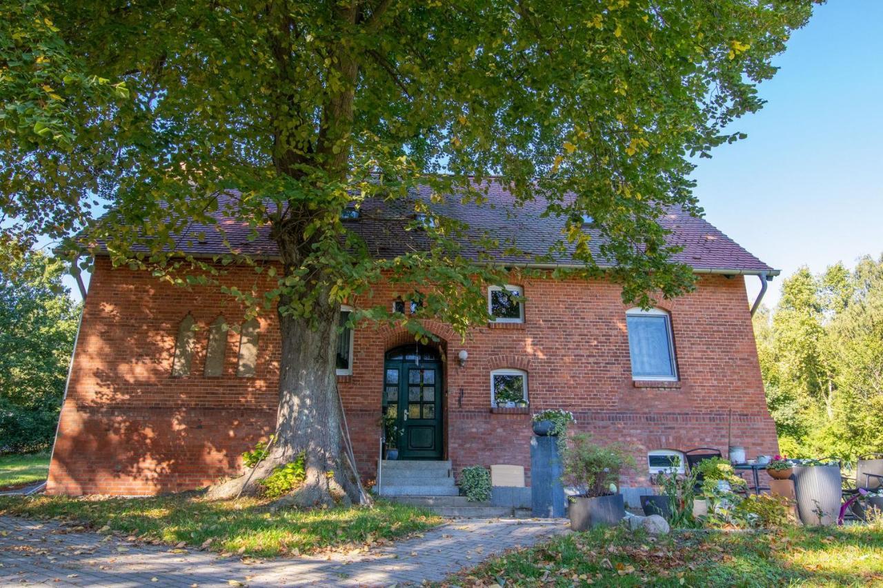 Ferienwohnung Zwischen Wald Und Strand Barhoft Buitenkant foto