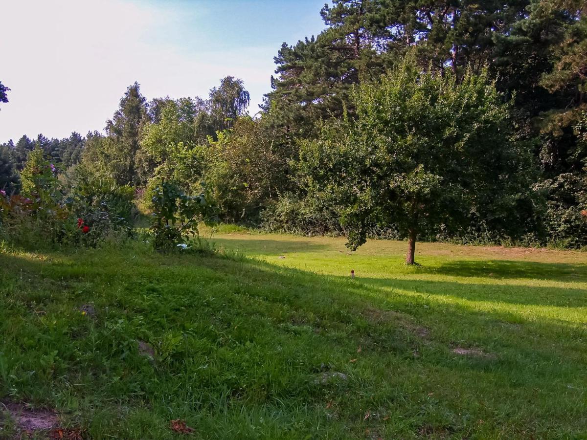 Ferienwohnung Zwischen Wald Und Strand Barhoft Buitenkant foto