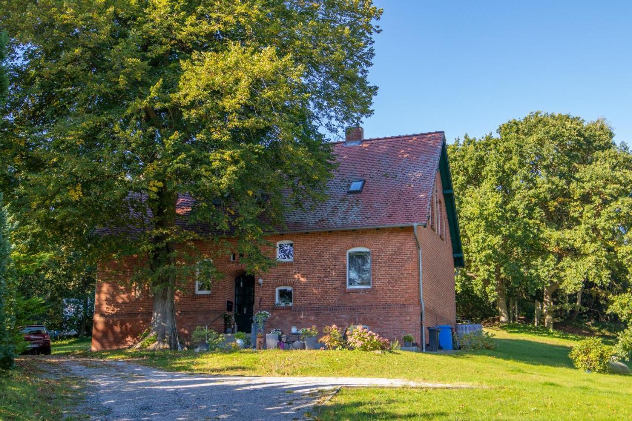 Ferienwohnung Zwischen Wald Und Strand Barhoft Buitenkant foto